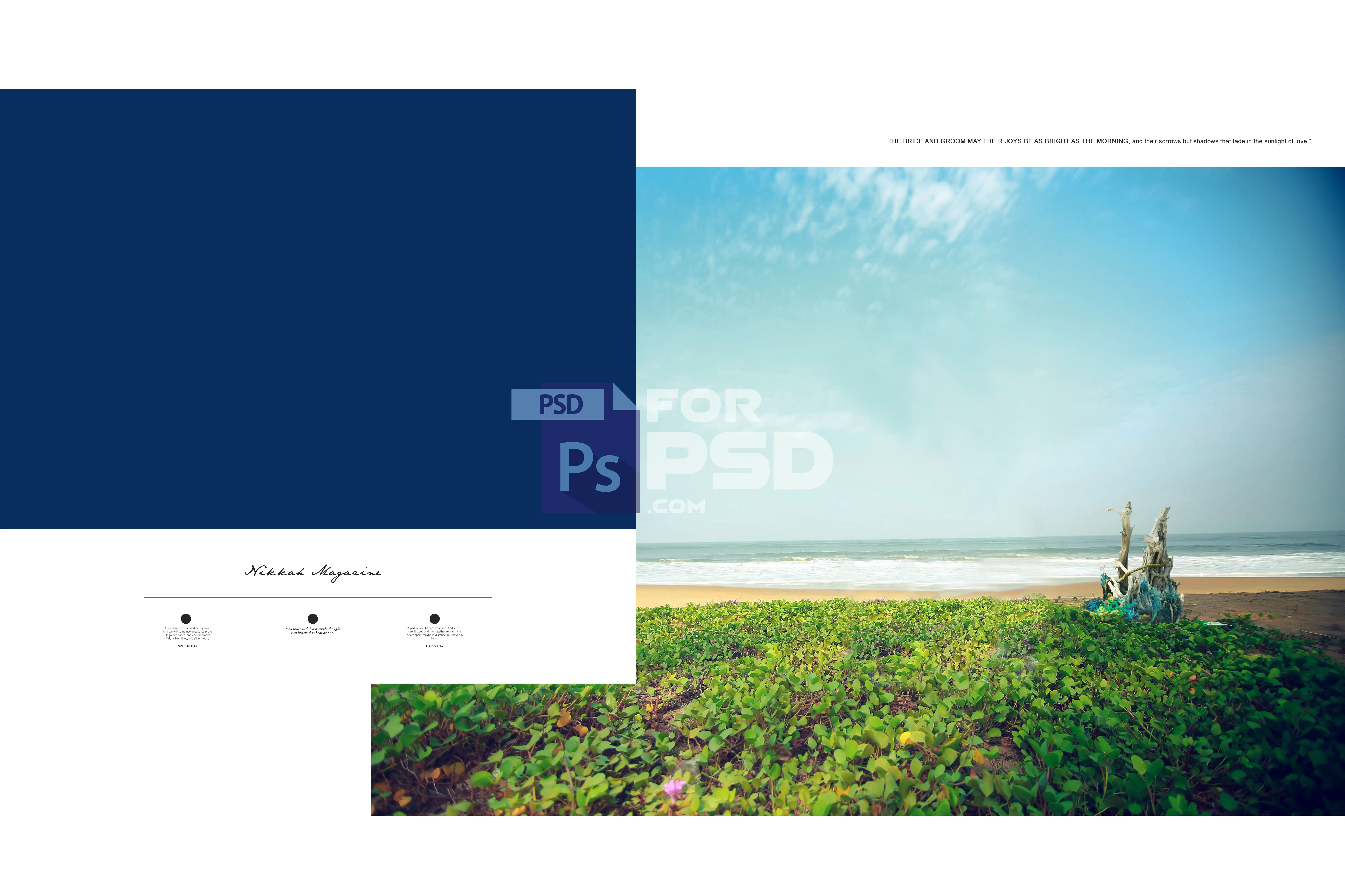 Image Preview